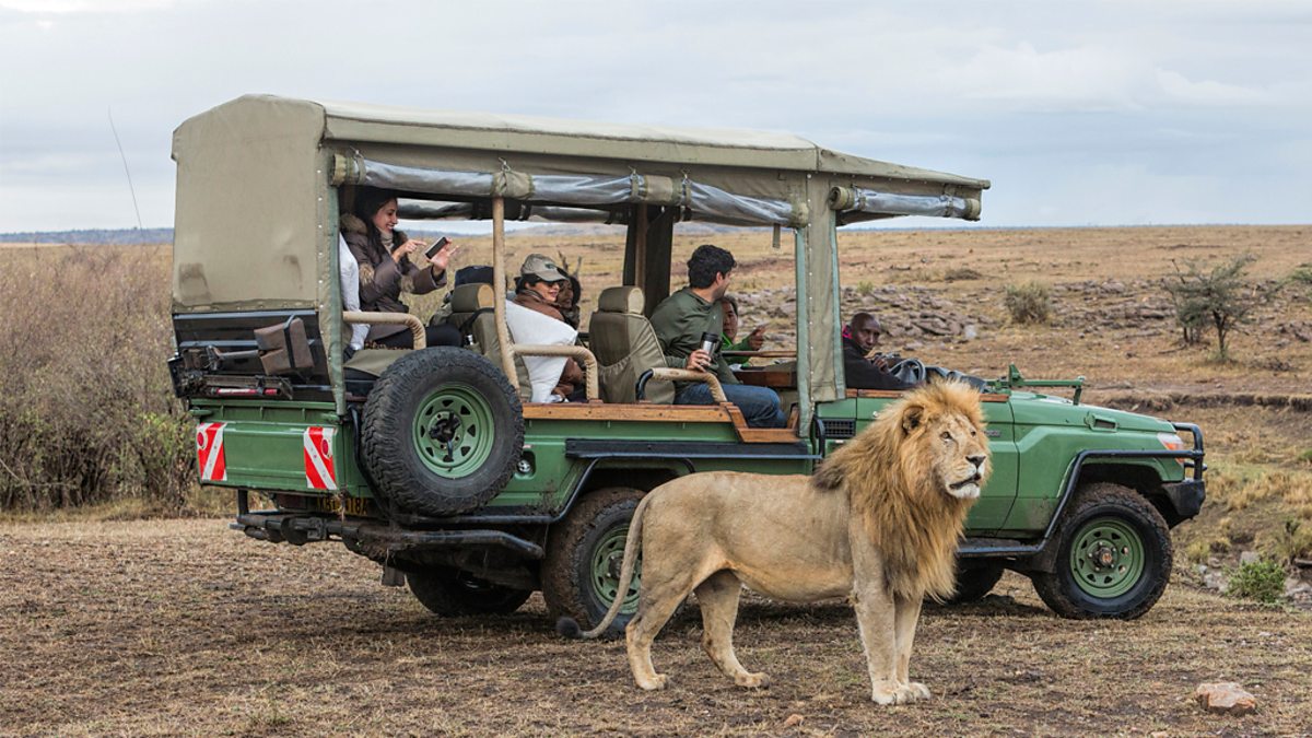 Kenya tours